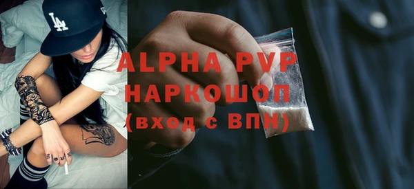 индика Аркадак