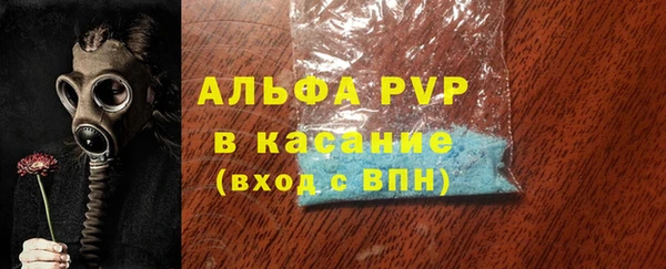 индика Аркадак